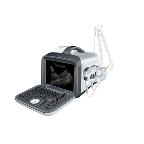 Tahap Kemasukan B&W Ultrasound Veterinar